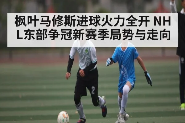 枫叶马修斯进球火力全开 NHL东部争冠新赛季局势与走向